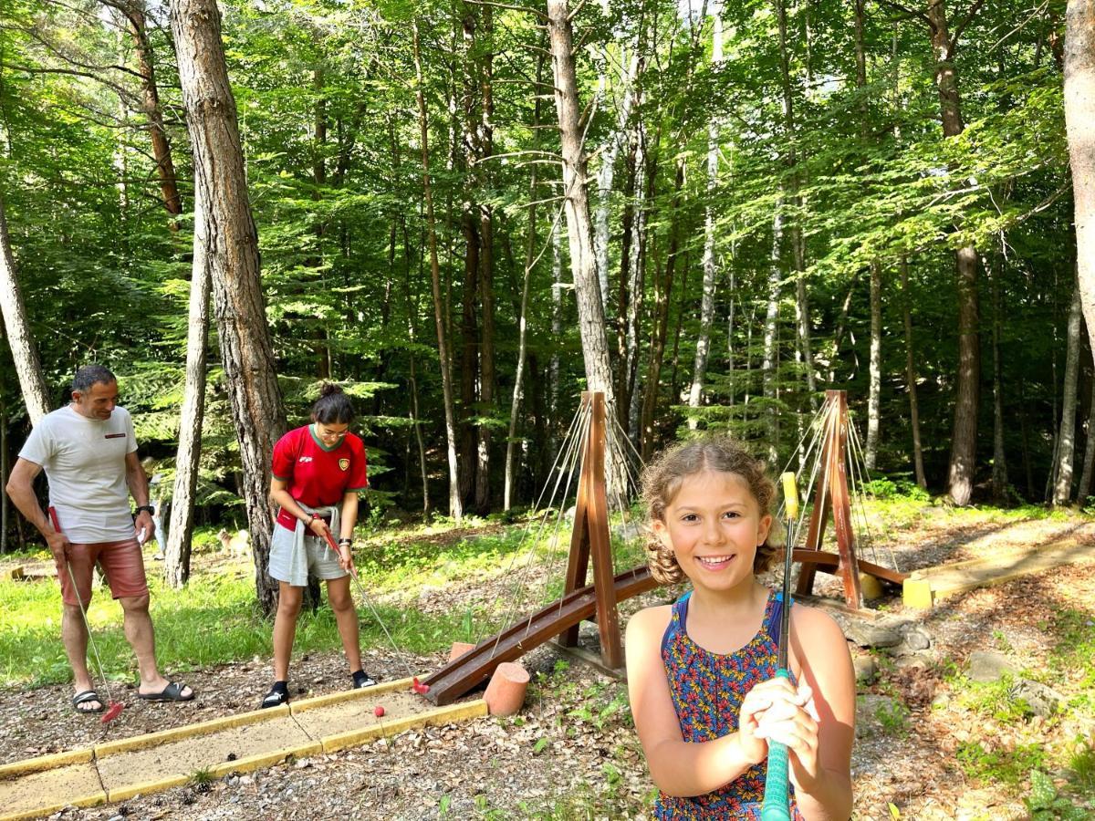Village De Chalets Et Camping La Pierre De L'Aigle La Bréole Zewnętrze zdjęcie